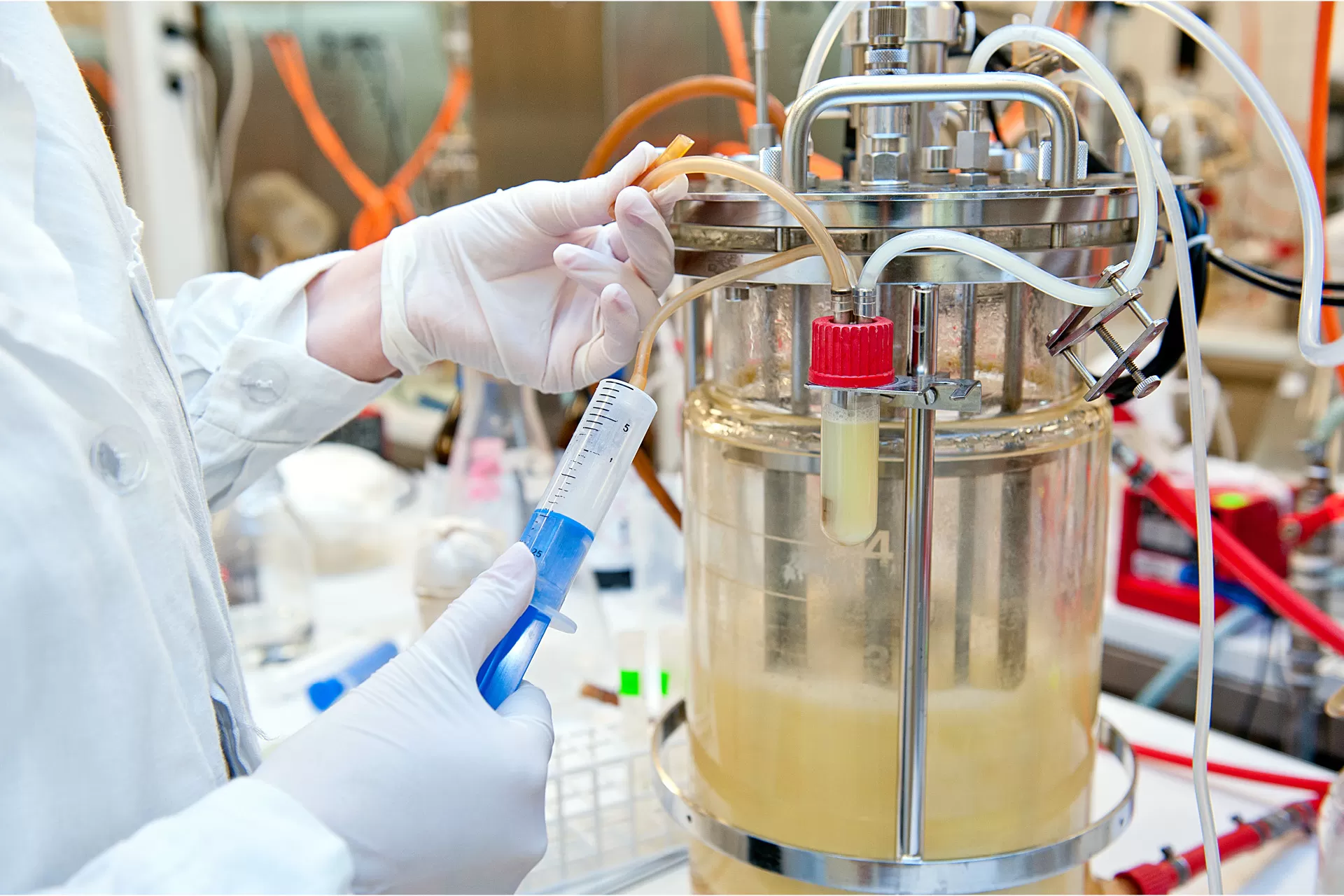 Eine Person mit weissen Handschuhen nimmt eine Probe aus einem Bioreaktor in einem biotechnologischen Labor.