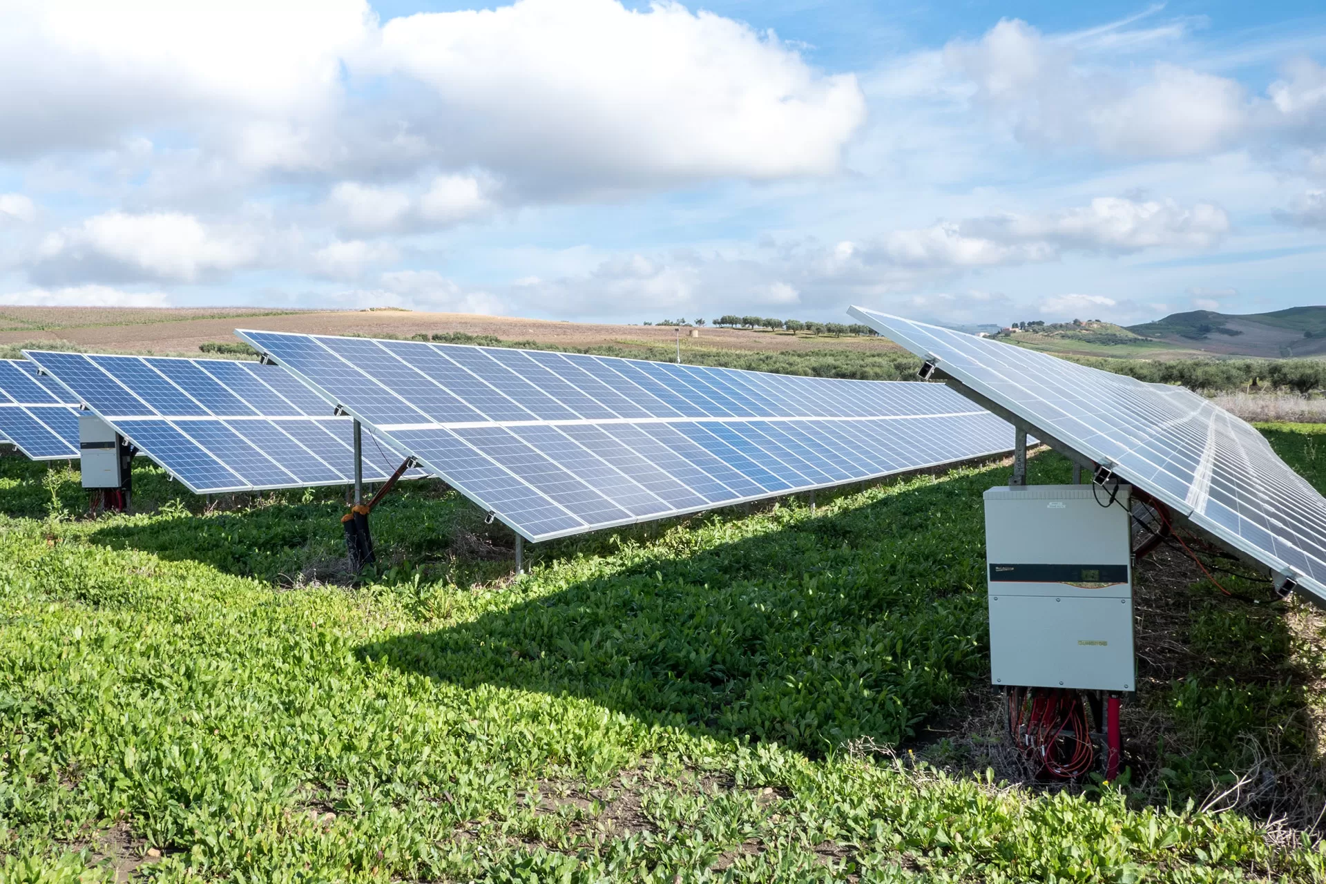 Mehrere Reihen von Solarpaneelen sind auf einem Feld aufgestellt.