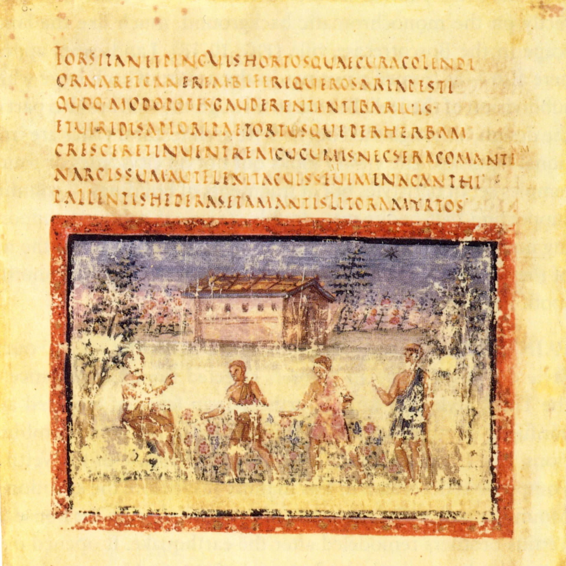 Eine Buchseite aus Pergament mit Text und Illustration aus der Schrift «Alter Bauer von Corycus» aus dem Vatikanischen Vergil. Anfang des 5. Jahrhunderts.