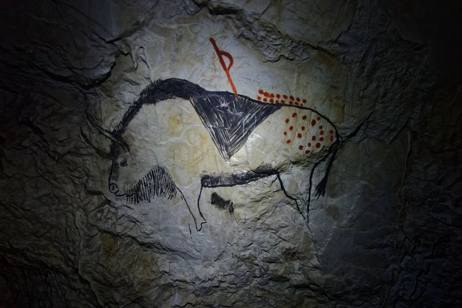 Höhle von Niaux, Tarascon-sur-Ariège, France. Höhlenkunst, die ca. 13.000 Jahre alten Höhlenzeichnungen sind in schwarzer Strichzeichnung ausgeführt und zeigen die großen Säugetiere der prähistorischen Fauna.