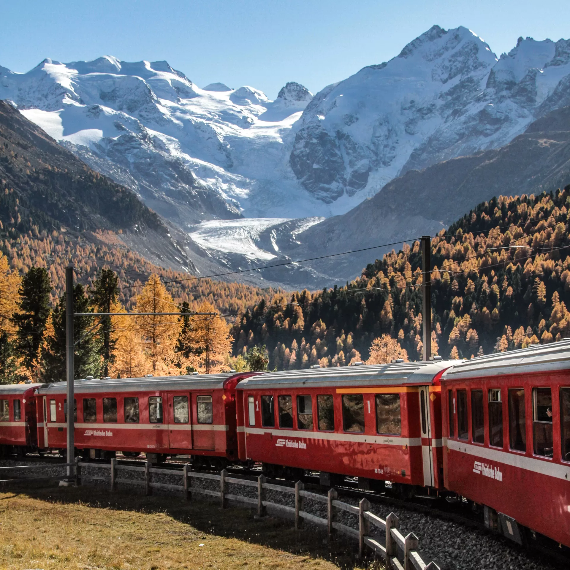 Ein roter Zug der RhB fährt vor einem Herbstwald, im Hintergrund ist der Morteratsch-Gletscher erkennbar.
