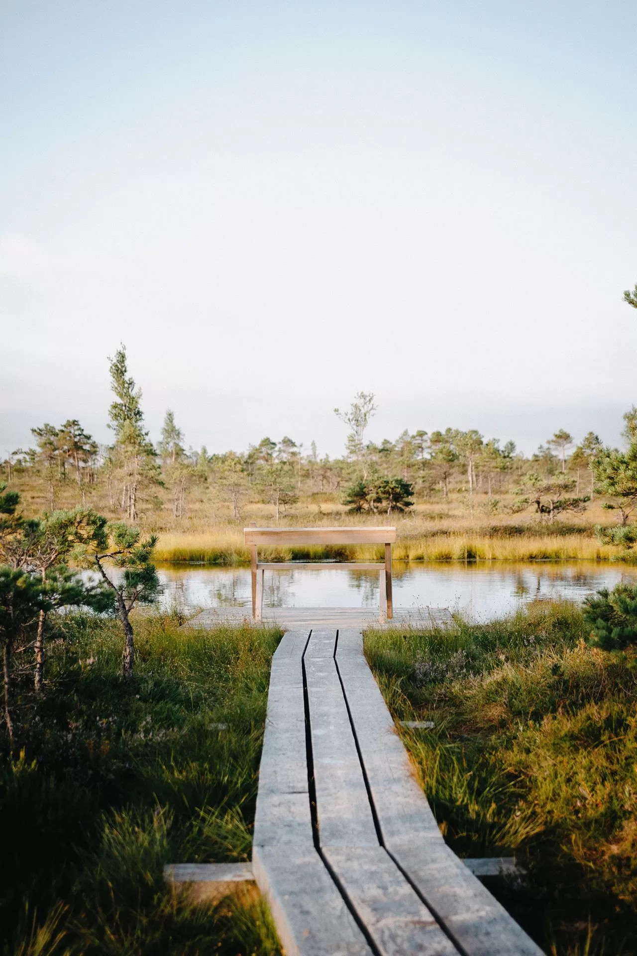 Ein Holzsteg führt durch ein Naturschutzgebiet an den Ufer eines kleinen Sees, wo eine Informationstafel steht.
