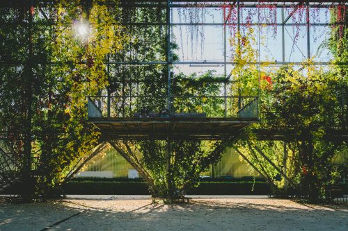 Landschaftsarchitektur