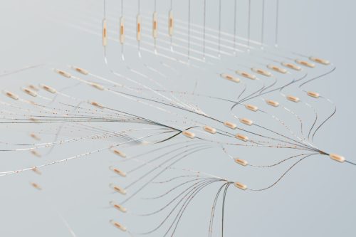 Neuroinformatik (nur Nebenfach)