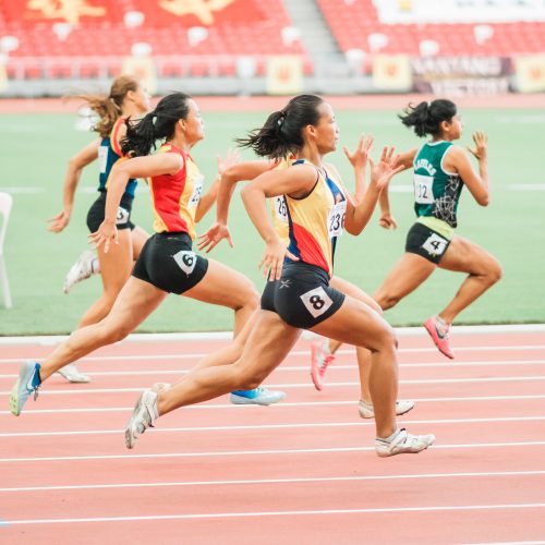 Sport Science / Sportwissenschaft
