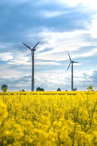 Environmental Engineering / Umweltingenieurwissenschaften