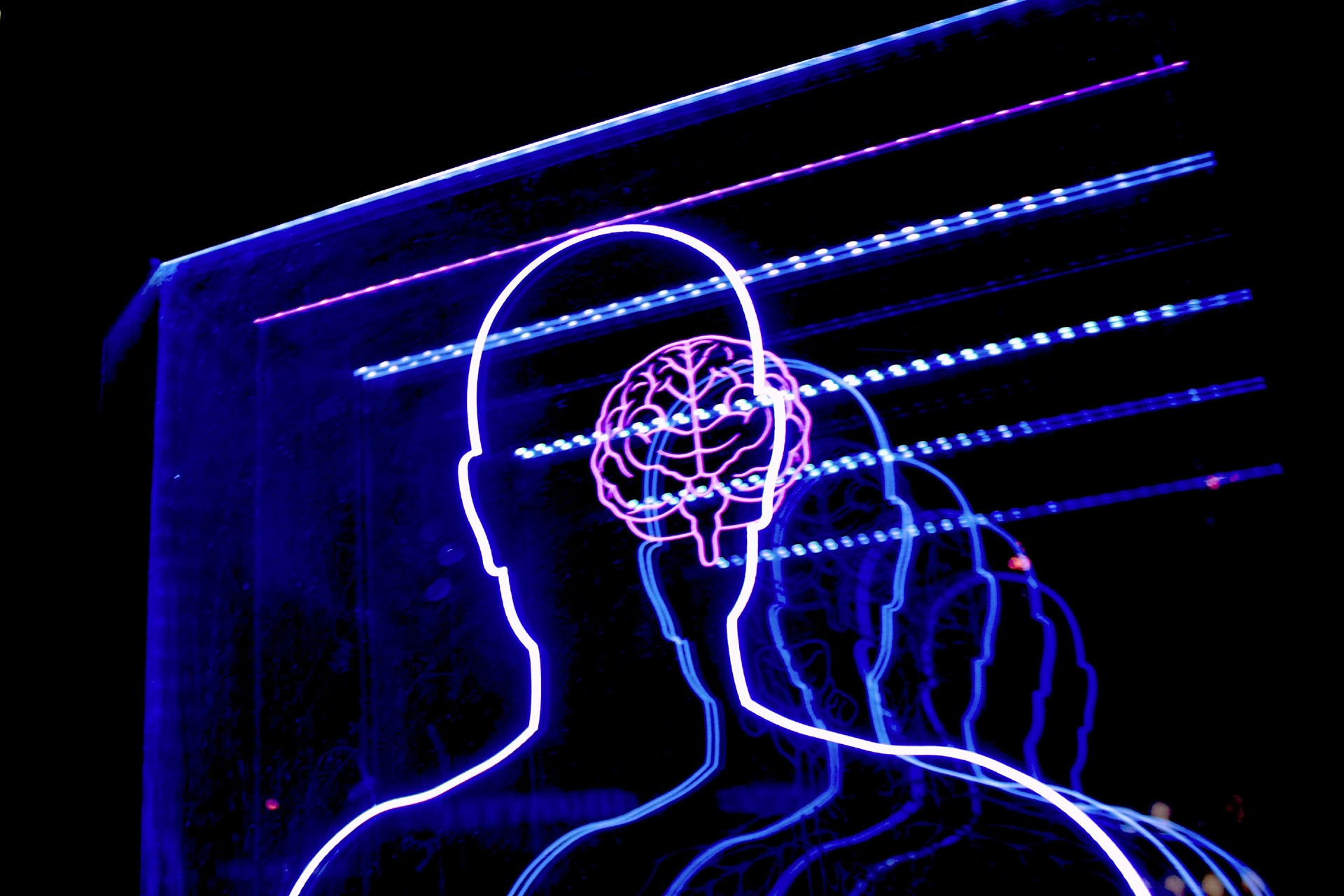 Auf mehreren hintereinander stehenden Glasscheiben wird der menschliche Kopf in Schichten dargestellt. Der Fokus liegt auf dem Hirn. Die Illustrationen sind Linien aus Neonlicht.